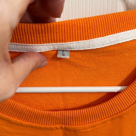 Brand new women’s size large fall sweatshirt. - Picture 2 of 4